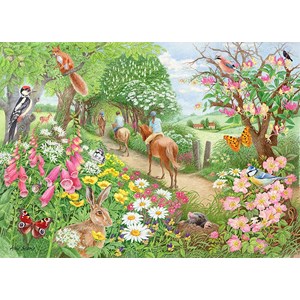 Falcon (11288) - Anne Searle: "An Afternoon Hack" - 1000 pezzi