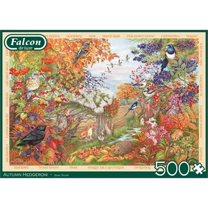 Falcon (11270) - Anne Searle: "Autumn Hedgerow" - 500 pezzi