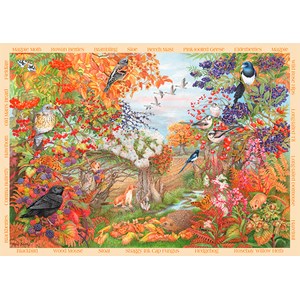 Falcon (11270) - Anne Searle: "Autumn Hedgerow" - 500 pezzi