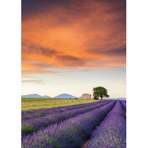 Schmidt Spiele (58364) - "Field of Lavender, Provence" - 500 pezzi