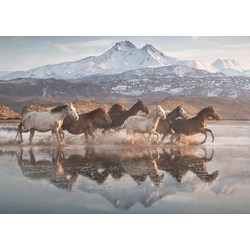 Schmidt Spiele (58376) - "Horses in Cappadocia" - 1000 pezzi