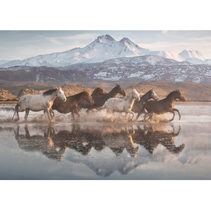 Schmidt Spiele (58376) - "Horses in Cappadocia" - 1000 pezzi