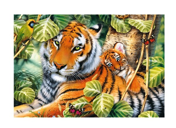 Trefl (26159) - "Two Tigers" - 1500 pezzi