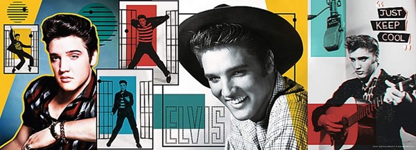 Trefl (29510) - "Elvis Presley" - 500 pezzi
