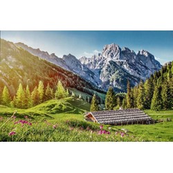 Castorland (B-53360) - "Summer in the Alps" - 500 pezzi