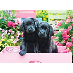 Eurographics (8500-5462) - "Black Labs in Pink Box" - 500 pezzi