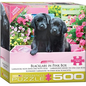 Eurographics (8500-5462) - "Black Labs in Pink Box" - 500 pezzi