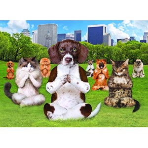 Eurographics (8300-5455) - "Yoga Park" - 300 pezzi