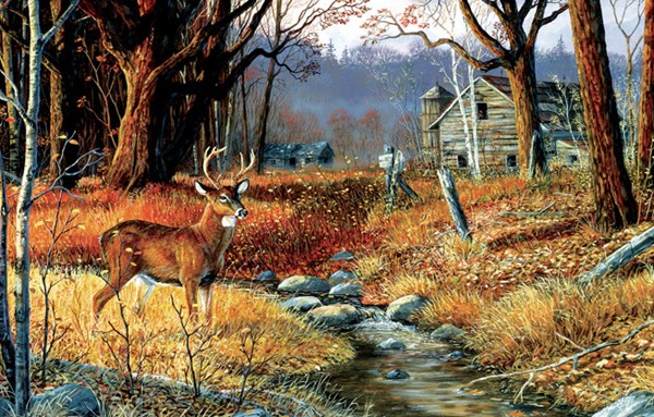 SunsOut (71246) - Terry Doughty: "Forgotten Valley" - 1000 pezzi