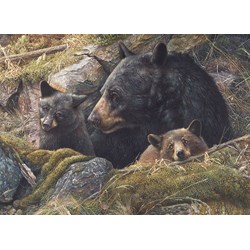 Cobble Hill (80012) - "Twice the Love" - 1000 pezzi