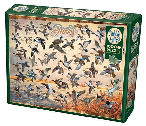 Cobble Hill (80263) - David A. Maass: "Ducks of North America" - 1000 pezzi