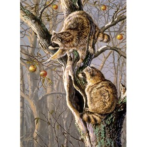 Cobble Hill (80192) - "Ringtail Raiders" - 1000 pezzi