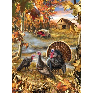 SunsOut (57168) - Dona Gelsinger: "Turkey Ranch" - 1000 pezzi