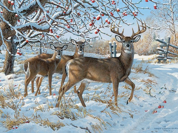 Cobble Hill (57196) - Persis Clayton Weirs: "Winter Deer" - 1000 pezzi