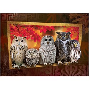 Art Puzzle (4375) - "Owls" - 1000 pezzi