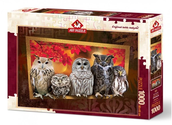 Art Puzzle (4375) - "Owls" - 1000 pezzi