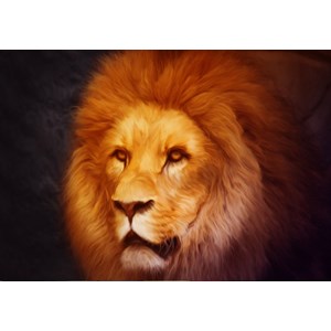 Grafika (01486) - "Lion" - 1000 pezzi