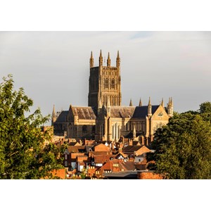 Grafika (t-00936) - "Worcester Cathedral viewed from Fort Royal Park" - 1500 pezzi
