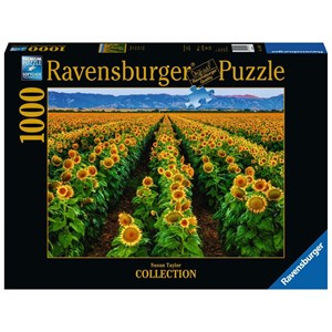 Ravensburger (15288) - Susan Taylor: "Field of Sunflowers" - 1000 pezzi
