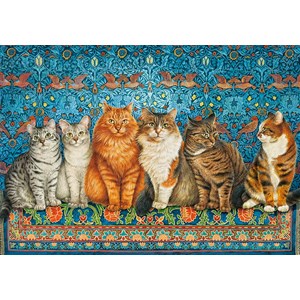 Castorland (B-53469) - "Cat Aristocracy" - 500 pezzi