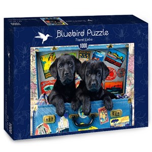 Bluebird Puzzle (70328) - Greg Cuddiford: "Travel Labs" - 1000 pezzi