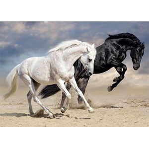 Nathan (87791) - "Wild Gallop" - 1500 pezzi