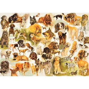 Jumbo (18596) - "Dogs Poster" - 1000 pezzi