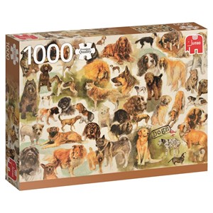 Jumbo (18596) - "Dogs Poster" - 1000 pezzi