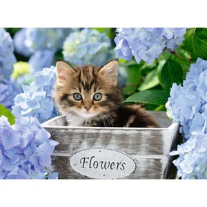 Ravensburger (12894) - "Little Kitten" - 300 pezzi