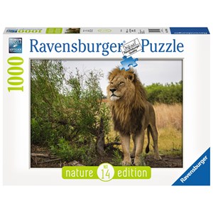 Ravensburger (15160) - "Proud lion" - 1000 pezzi