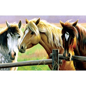 SunsOut (70922) - Cynthie Fisher: "Horse Fence" - 1000 pezzi
