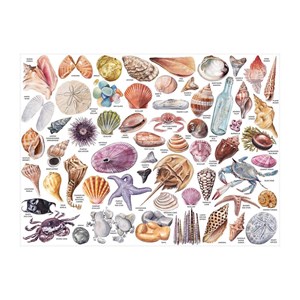eeBoo (M57051) - "The Beachcomber's Companion" - 1000 pezzi