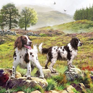Otter House Puzzle (74132) - "Spaniels On The Moor" - 1000 pezzi