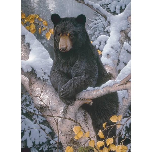 Cobble Hill (80099) - "Black Bear" - 1000 pezzi