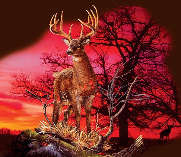 SunsOut (50766) - Gordon Semmens: "Red Sunset" - 550 pezzi