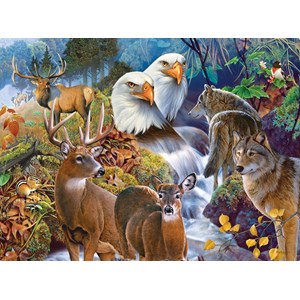 SunsOut (56543) - Jerry Gadamus: "Forest Neighbors" - 1000 pezzi
