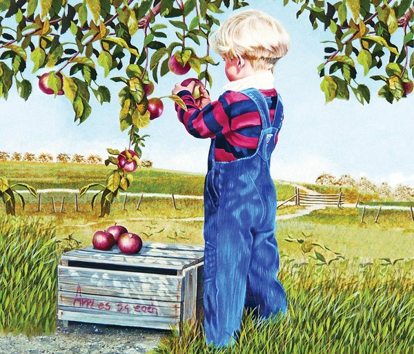 SunsOut (26282) - Patricia Bourque: "Apple Picking" - 550 pezzi