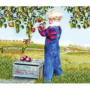SunsOut (26282) - Patricia Bourque: "Apple Picking" - 550 pezzi
