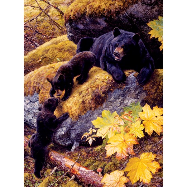 SunsOut (59018) - Carl Brenders: "Nosing Around" - 1000 pezzi