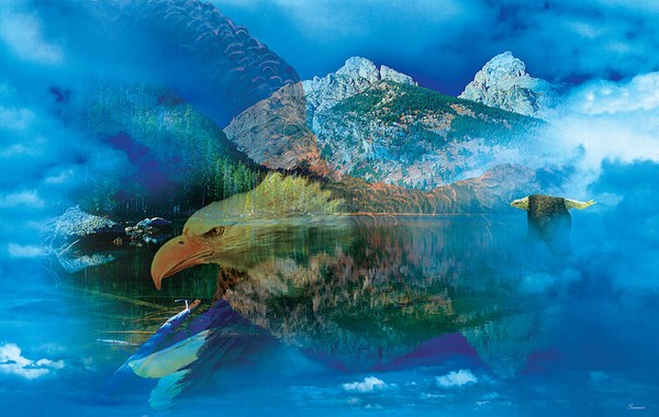 SunsOut (50777) - Gordon Semmens: "Eagle Dreamscape" - 550 pezzi