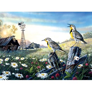 SunsOut (71131) - Terry Doughty: "Meadow Outpost" - 1000 pezzi