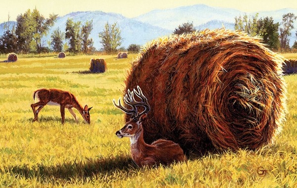 SunsOut (17462) - Gary Johnson: "Made in the Shade" - 550 pezzi