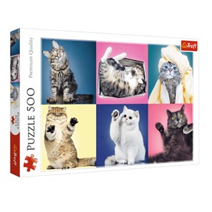 Trefl (37377) - "Kittens" - 500 pezzi