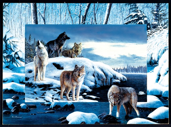 SunsOut (55763) - Kevin Daniel: "Ice Wolves" - 1000 pezzi