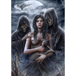 Grafika (01085) - Cris Ortega: "Spirit of the Night" - 1000 pezzi