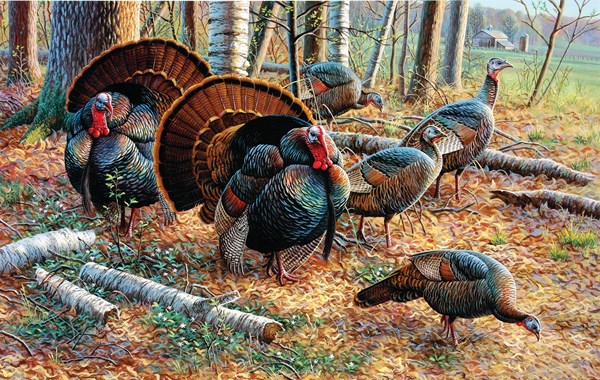 SunsOut (70963) - Cynthie Fisher: "Spring Strut" - 550 pezzi