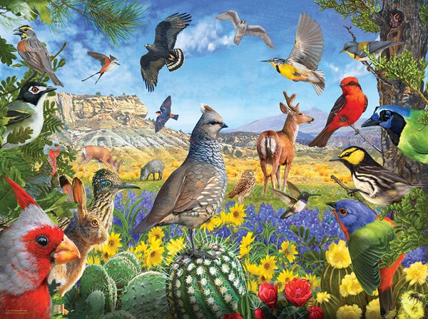 SunsOut (70939) - R. Christopher Vest: "Texas Birds" - 1000 pezzi
