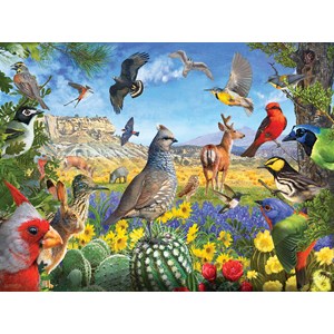 SunsOut (70939) - R. Christopher Vest: "Texas Birds" - 1000 pezzi