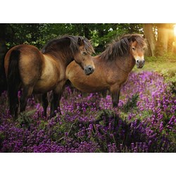 Ravensburger (14813) - "Ponies In The Heath" - 500 pezzi