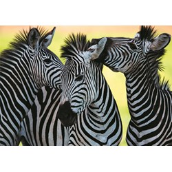 Dino (50226) - "3 Zebras" - 500 pezzi